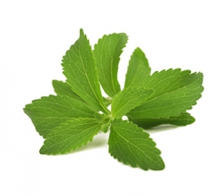 Stevia